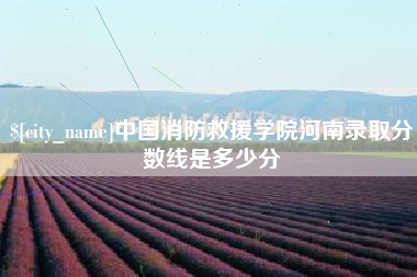 新安中国消防救援学院河南录取分数线是多少分