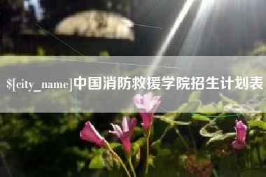 新安中国消防救援学院招生计划表