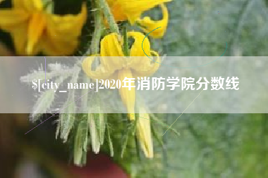 新安2020年消防学院分数线