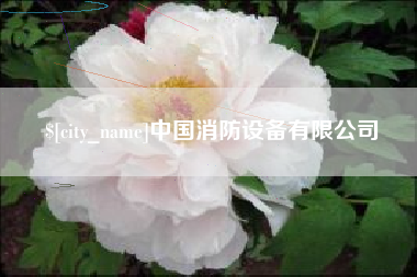 新安中国消防设备有限公司
