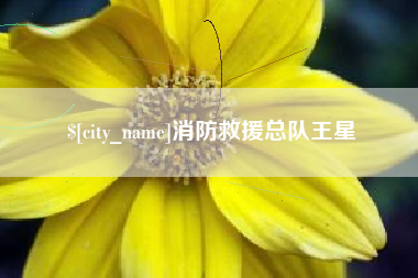 新安消防救援总队王星