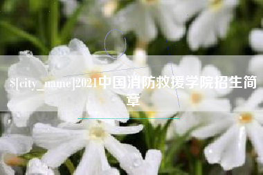 新安2021中国消防救援学院招生简章