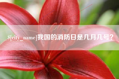新安我国的消防日是几月几号？