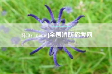 新安全国消防招考网