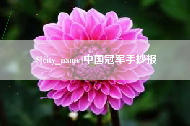新安中国冠军手抄报