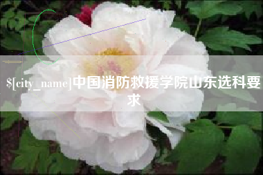 新安中国消防救援学院山东选科要求