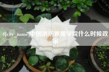 新安中国消防救援学院什么时候政审
