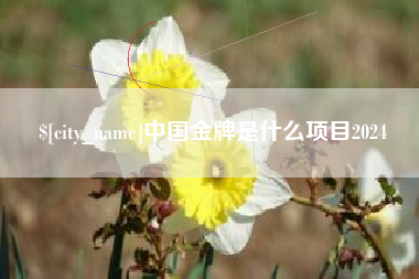 新安中国金牌是什么项目2024