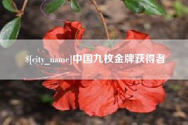新安中国九枚金牌获得者