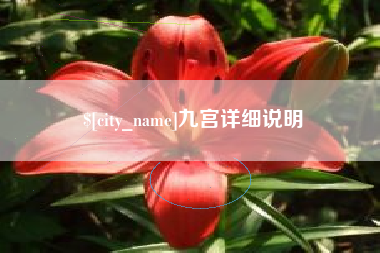 新安九宫详细说明