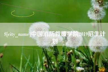 新安中国消防救援学院2019招生计划