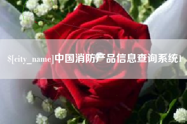 新安中国消防产品信息查询系统1