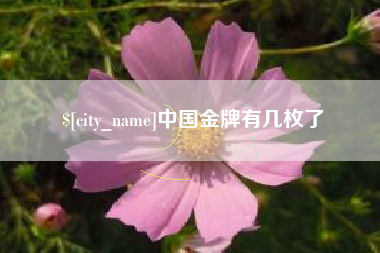新安中国金牌有几枚了