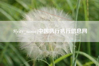 新安中国执行执行信息网