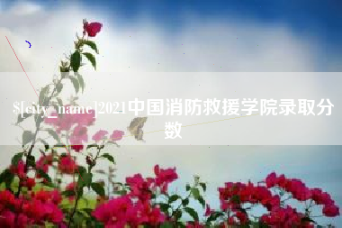 新安2021中国消防救援学院录取分数