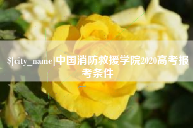 新安中国消防救援学院2020高考报考条件