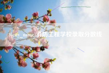 新安消防工程学校录取分数线