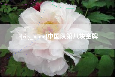 新安中国队第八块金牌