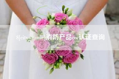 新安消防产品ccc认证查询