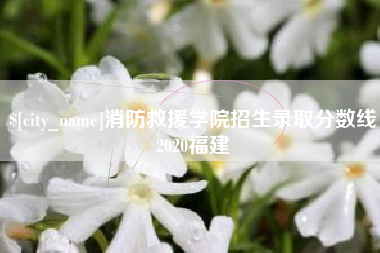 新安消防救援学院招生录取分数线2020福建