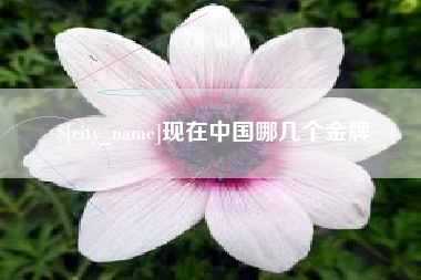新安现在中国哪几个金牌