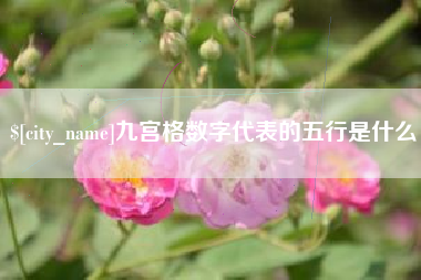 新安九宫格数字代表的五行是什么
