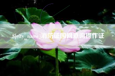 新安消防证国网查询操作证