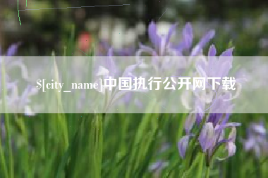 新安中国执行公开网下载