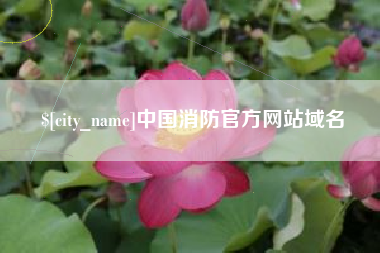 新安中国消防官方网站域名