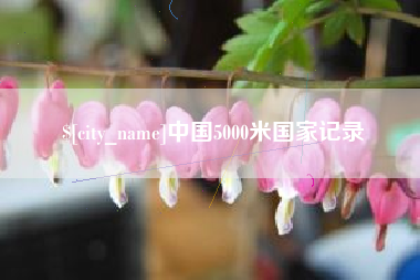 新安中国5000米国家记录