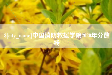 新安中国消防救援学院2020年分数线