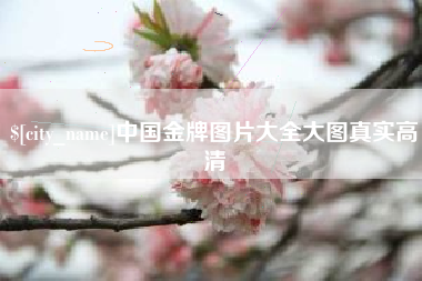新安中国金牌图片大全大图真实高清