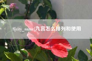 新安九宫怎么排列和使用