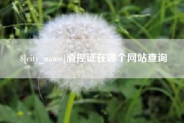 新安消控证在哪个网站查询