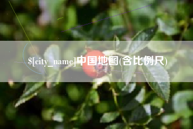 新安中国地图(含比例尺)