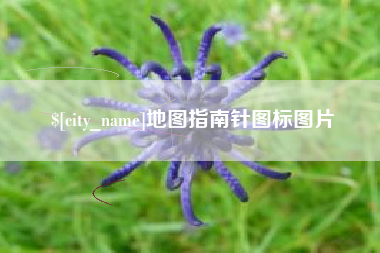 新安地图指南针图标图片