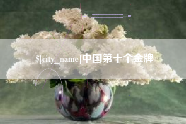 新安中国第十个金牌