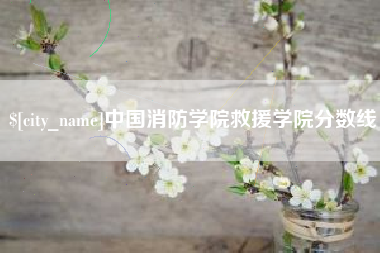 新安中国消防学院救援学院分数线