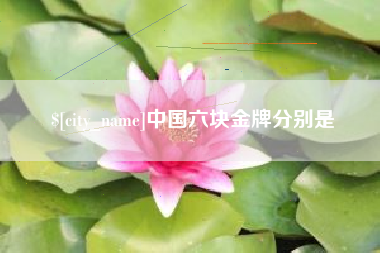 新安中国六块金牌分别是