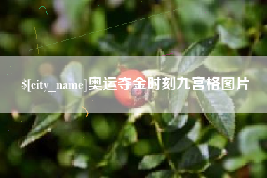 新安奥运夺金时刻九宫格图片