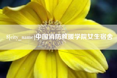 新安中国消防救援学院女生宿舍