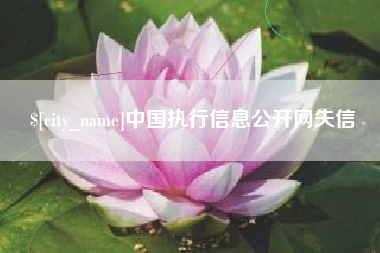 新安中国执行信息公开网失信