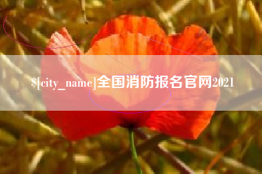新安全国消防报名官网2021
