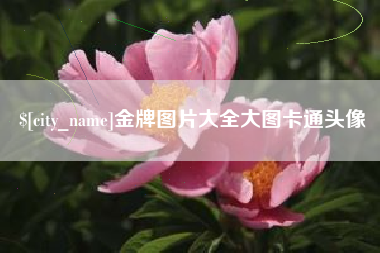 新安金牌图片大全大图卡通头像