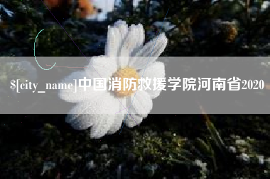 新安中国消防救援学院河南省2020