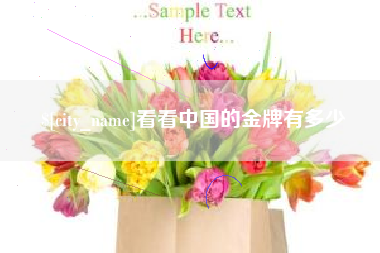 新安看看中国的金牌有多少